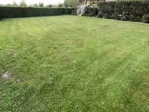 Pronájem chaty, Bělov, 60 m2