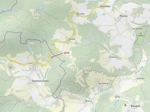 Dražba lesa, Vranová Lhota, 5978 m2