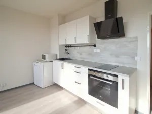 Pronájem bytu 1+kk, Plzeň - Bolevec, Tachovská, 29 m2