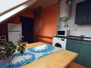 Pronájem bytu 1+1, Hradec Králové, Horova, 47 m2