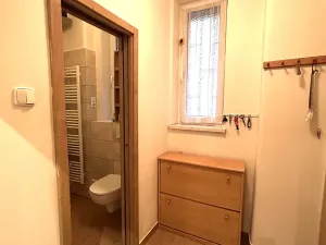 Pronájem bytu 1+kk, Praha - Holešovice, Tusarova, 32 m2