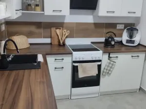 Pronájem bytu 2+1, Chomutov, Stavbařská, 56 m2