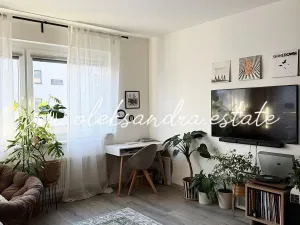 Prodej bytu 2+kk, Praha - Hloubětín, Saarinenova, 52 m2