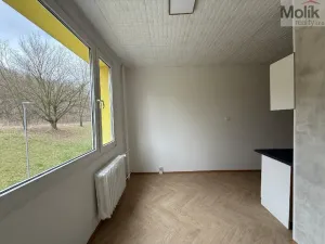 Pronájem bytu 2+1, Bílina - Teplické Předměstí, Sídliště Za Chlumem, 62 m2