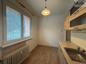 Pronájem bytu 1+1, Most, Vítězslava Nezvala, 35 m2