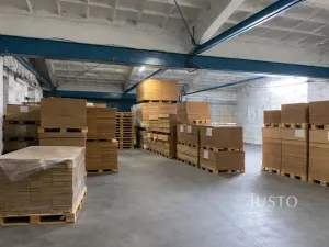 Pronájem skladu, Všejany, Na Prstýnku, 500 m2