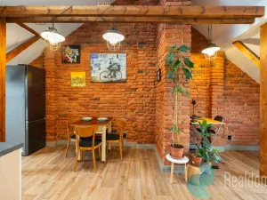 Prodej vícegeneračního domu, České Budějovice, Fr. Hrubína, 212 m2