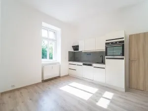 Pronájem bytu 1+1, Praha - Libeň, Pod Labuťkou, 40 m2