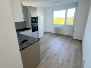 Pronájem bytu 2+kk, Znojmo, Sokolovská, 42 m2