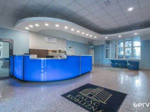 Pronájem bytu 2+kk, Brno, Kobližná, 57 m2