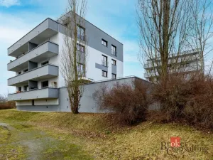 Pronájem bytu 2+kk, Plzeň - Severní Předměstí, Kotíkovská, 59 m2