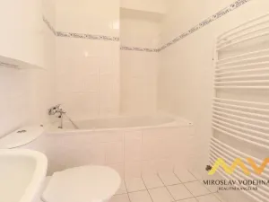 Pronájem bytu 1+kk, Hradec Králové - Třebeš, Ve Stromovce, 33 m2