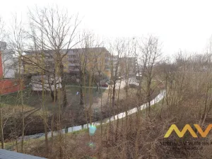 Pronájem bytu 1+kk, Hradec Králové - Třebeš, Ve Stromovce, 33 m2