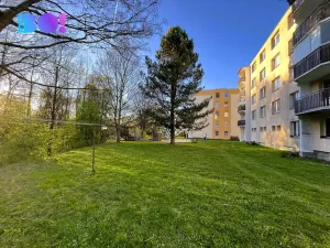Prodej bytu 3+1, Žďár nad Sázavou, Purkyňova, 73 m2