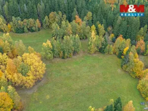 Prodej louky, Tanvald - Šumburk nad Desnou, 1444 m2