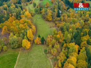 Prodej louky, Tanvald - Šumburk nad Desnou, 1589 m2