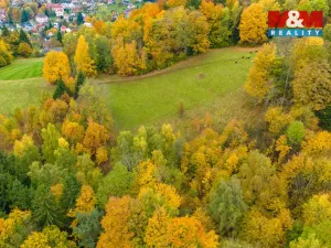 Prodej louky, Tanvald - Šumburk nad Desnou, 1589 m2