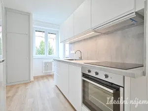 Pronájem bytu 2+1, Brno, Sýpka, 55 m2