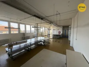 Pronájem výrobních prostor, Prostějov, Olomoucká, 128 m2