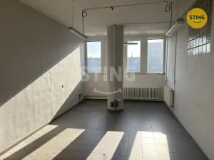Pronájem výrobních prostor, Prostějov, Olomoucká, 128 m2