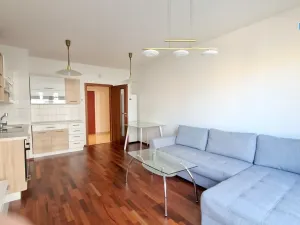 Pronájem bytu 2+kk, Praha - Žižkov, Olšanská, 55 m2