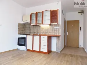 Prodej bytu 1+1, Ústí nad Labem - Severní Terasa, Ladova, 37 m2