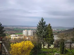 Prodej zahrady, Brno, 617 m2