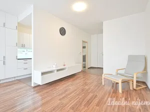 Pronájem bytu 1+kk, Brno, U Leskavy, 38 m2