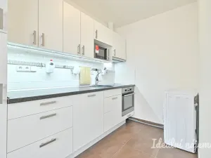 Pronájem bytu 1+kk, Brno, U Leskavy, 38 m2