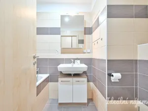 Pronájem bytu 1+kk, Brno, U Leskavy, 38 m2