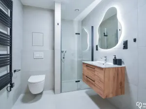 Pronájem bytu 2+kk, Olomouc, Hálkova, 62 m2