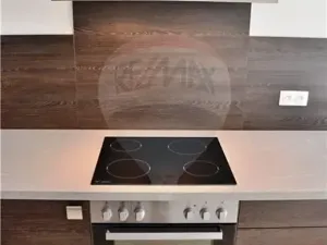 Pronájem bytu 2+kk, Plzeň, Štefánikova, 59 m2