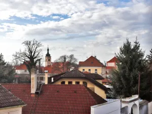 Pronájem bytu 2+kk, Brandýs nad Labem-Stará Boleslav - Stará Boleslav, Lázeňská, 55 m2