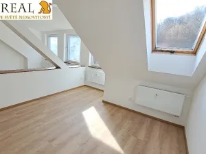 Pronájem bytu 1+kk, Šebrov-Kateřina, 39 m2