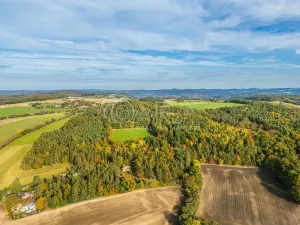 Prodej pozemku pro bydlení, Nové Dvory - Krámy, 3271 m2