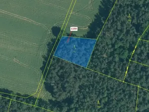 Dražba lesa, Hradiště, 1116 m2