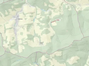 Dražba lesa, Zděchov, 1866 m2