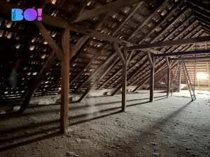 Prodej ubytování, Lednice, Břeclavská, 360 m2