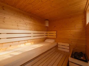 Prodej bytu 1+kk, Lipno nad Vltavou, 31 m2