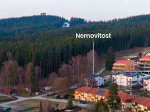 Prodej bytu 1+kk, Lipno nad Vltavou, 31 m2