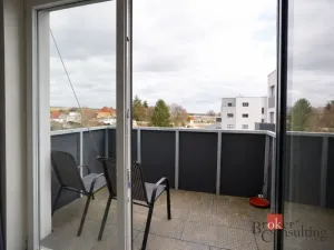 Prodej bytu 2+kk, Heřmanova Huť - Vlkýš, U Pondu, 70 m2