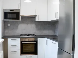 Pronájem bytu 4+kk, Praha - Vinohrady, Nad olšinami, 70 m2