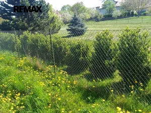 Prodej zahrady, Mikulovice, 1350 m2