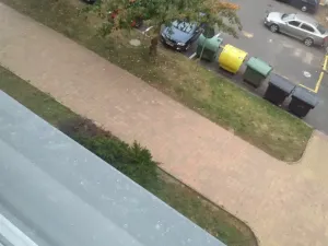 Pronájem bytu 1+1, Žatec, Růžová, 40 m2