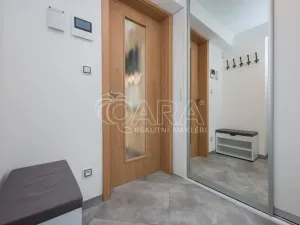 Pronájem bytu 1+kk, Praha - Chodov, Švabinského, 25 m2