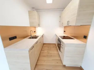 Pronájem kanceláře, Praha - Břevnov, U Petřin, 55 m2