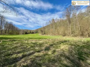 Prodej pozemku pro bydlení, Libina, 8112 m2