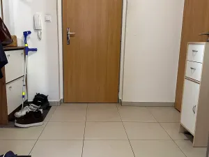 Prodej bytu 3+kk, Brno, Hvozdecká, 60 m2