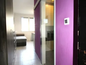 Pronájem bytu 1+1, České Budějovice - České Budějovice 2, J. Opletala, 36 m2