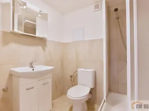 Pronájem bytu 2+kk, Brno - Husovice, Valchařská, 68 m2